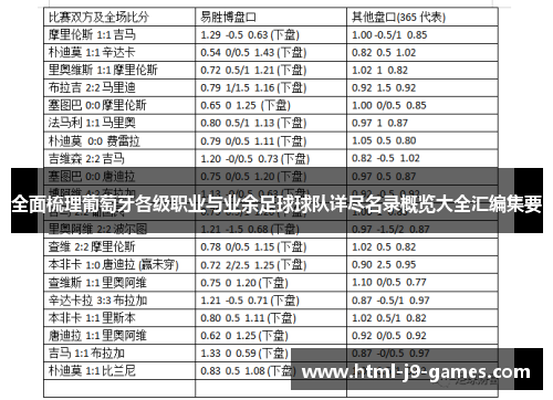 全面梳理葡萄牙各级职业与业余足球球队详尽名录概览大全汇编集要